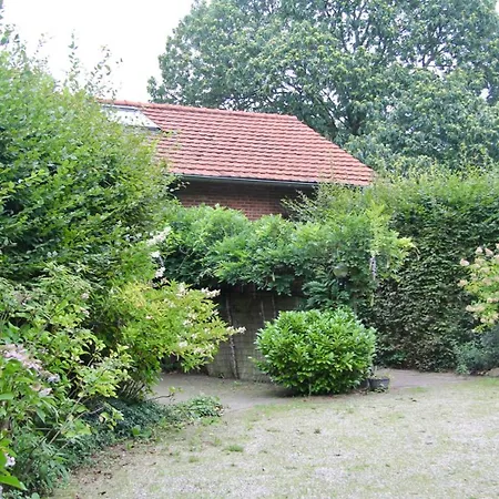 Miekes Boesj * Koningsbosch
